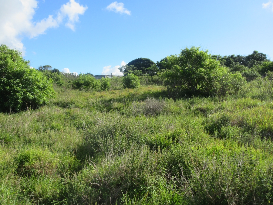 0 Bedroom Property for Sale in Forest Downs Eastern Cape